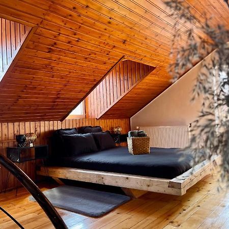 Nacada Studio By Hyco Apartman Segesvár Kültér fotó