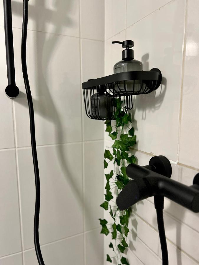 Nacada Studio By Hyco Apartman Segesvár Kültér fotó